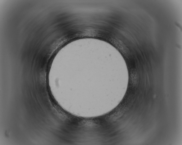 X0000091660534200709131512