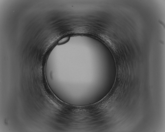 X0000091660535200709131512