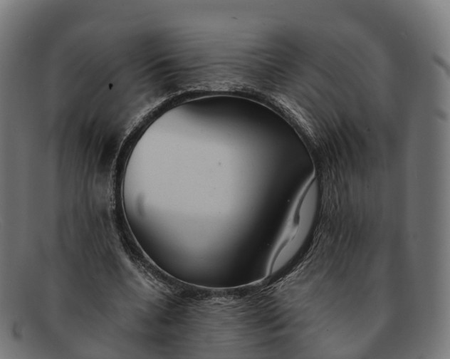 X0000091660536200709131512