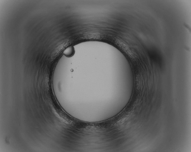 X0000091660538200709131512