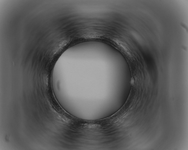 X0000091660539200709131512