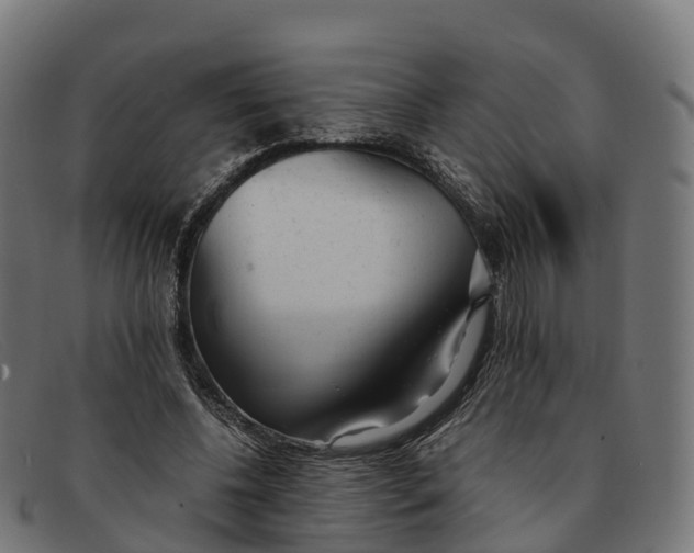 X0000091660540200709131512