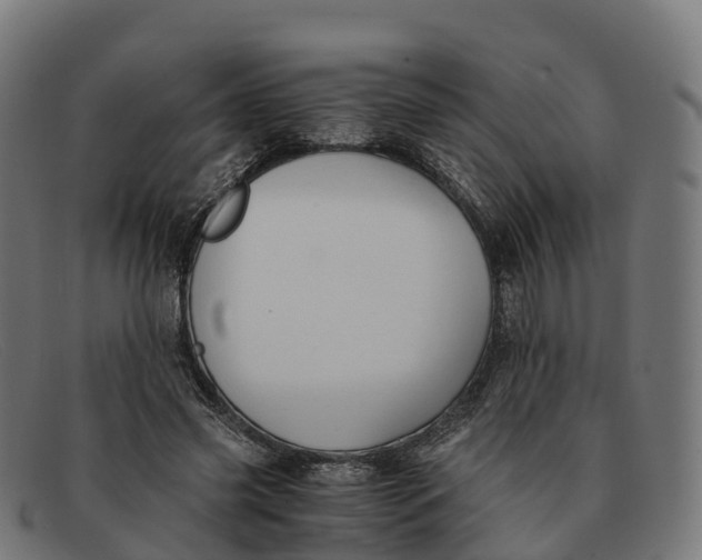 X0000091660541200709131512