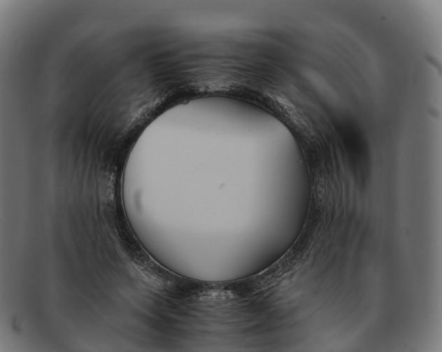 X0000091660543200709131512