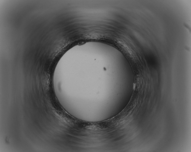 X0000091660544200709131512