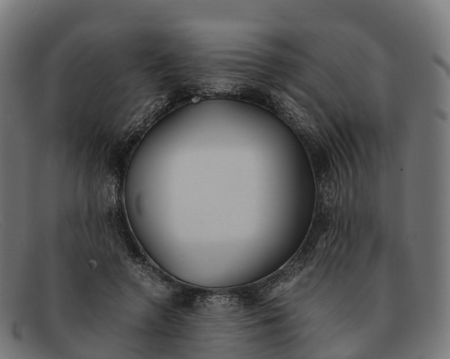 X0000091660546200709131512