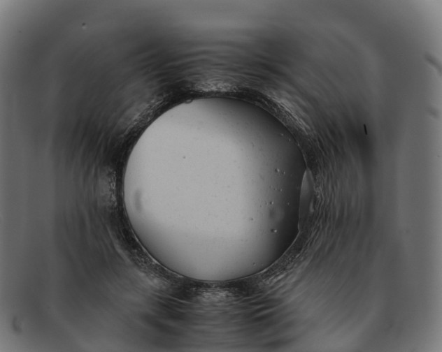 X0000091660547200709131512