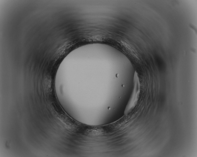 X0000091660548200709131512