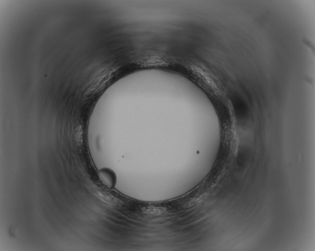 X0000091660549200709131512