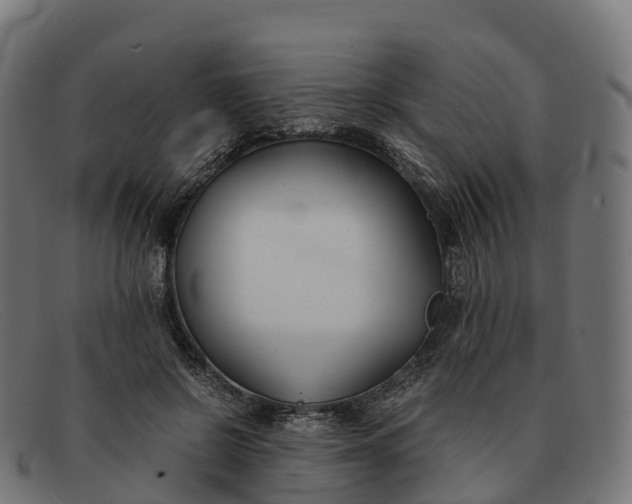 X0000091660550200709131512