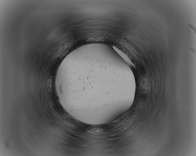 X0000091660551200709131512