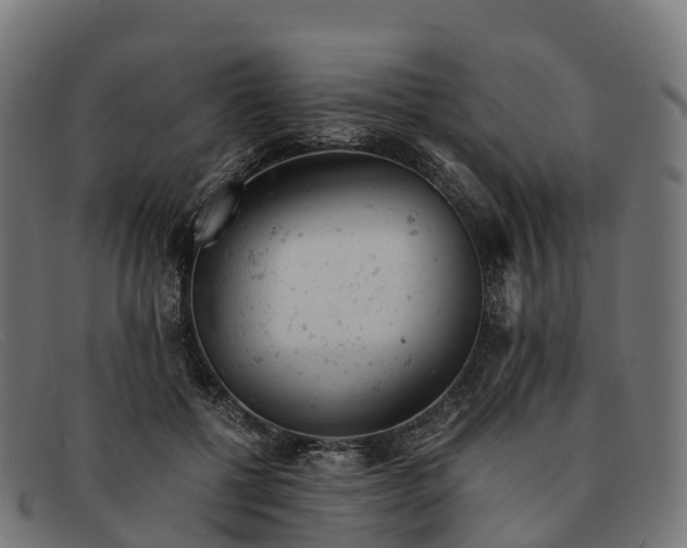 X0000091660552200709131512