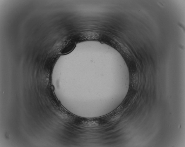 X0000091660553200709131512