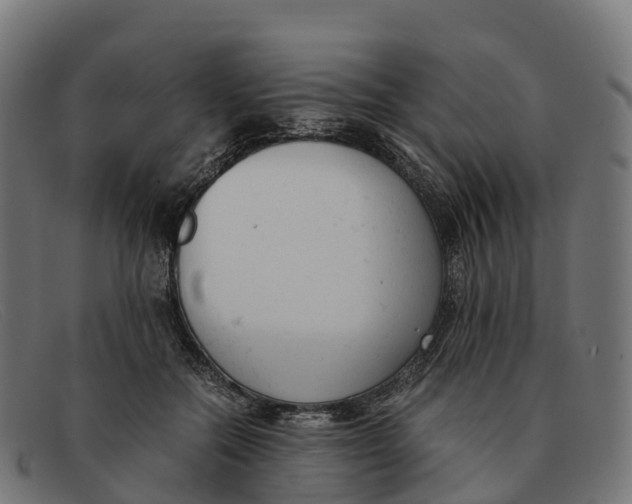 X0000091660554200709131512