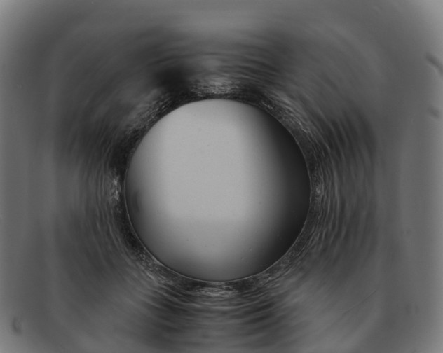 X0000091660555200709131512