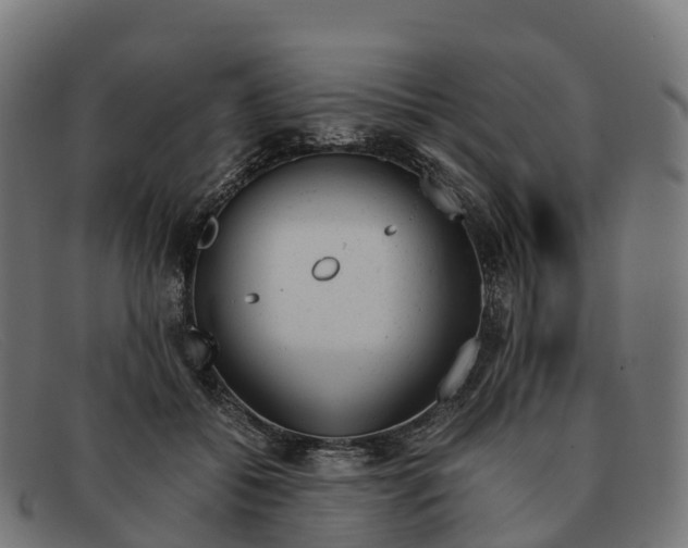 X0000091660556200709131512