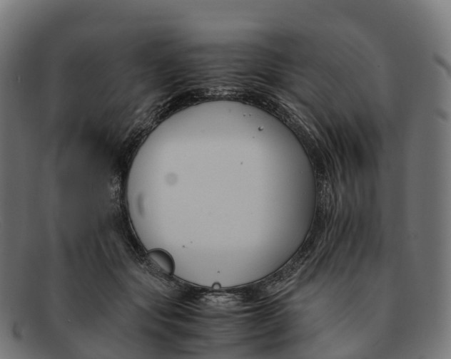 X0000091660557200709131512