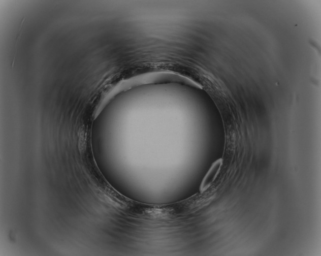 X0000091660558200709131512