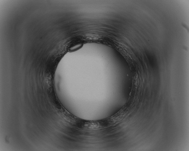 X0000091660559200709131512