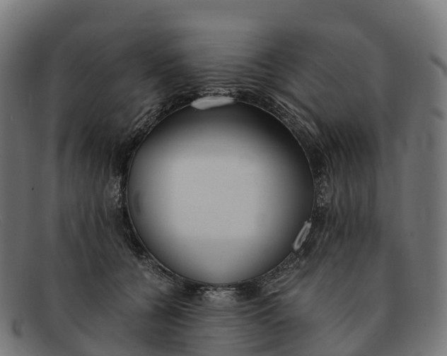 X0000091660560200709131512