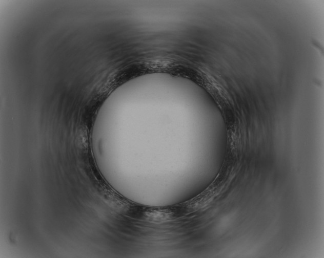 X0000091660561200709131512