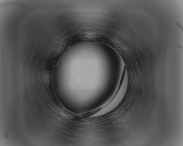 X0000091660562200709131512