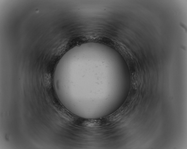 X0000091660563200709131512