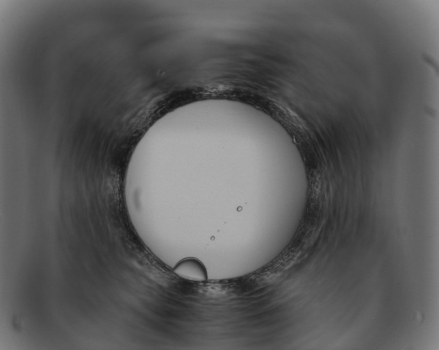 X0000091660565200709131512