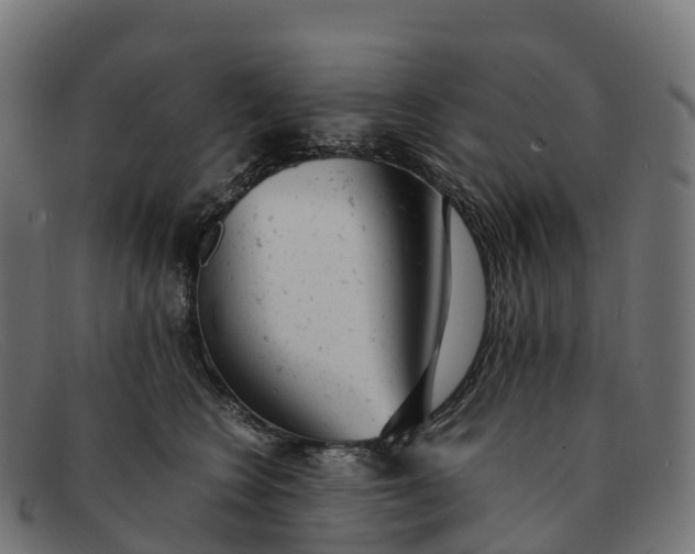 X0000091660566200709131512