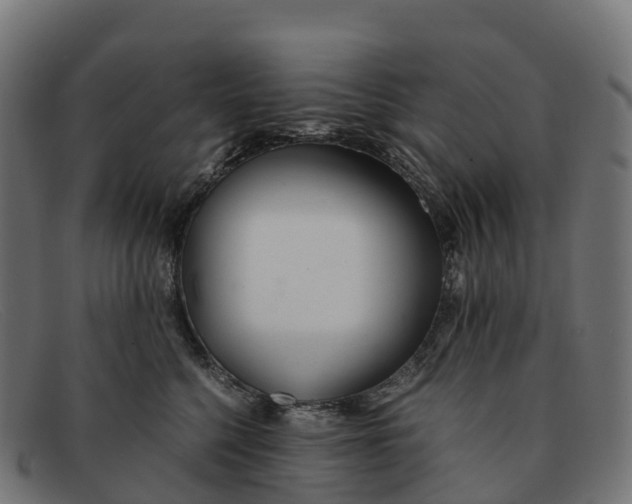 X0000091660568200709131512