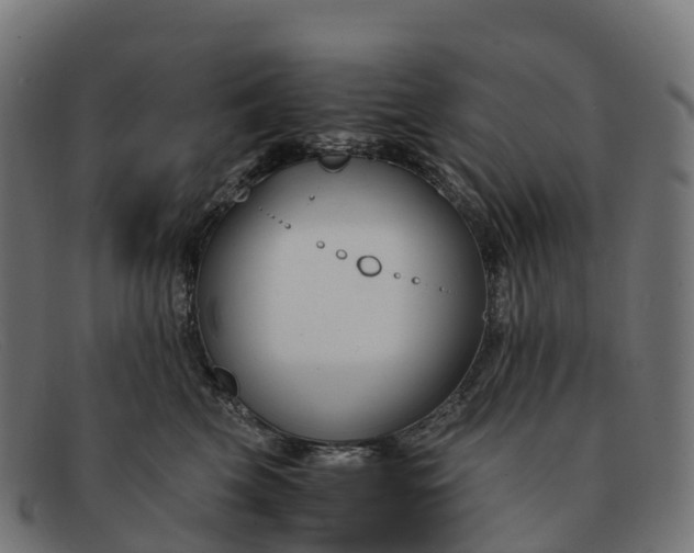 X0000091660569200709131512