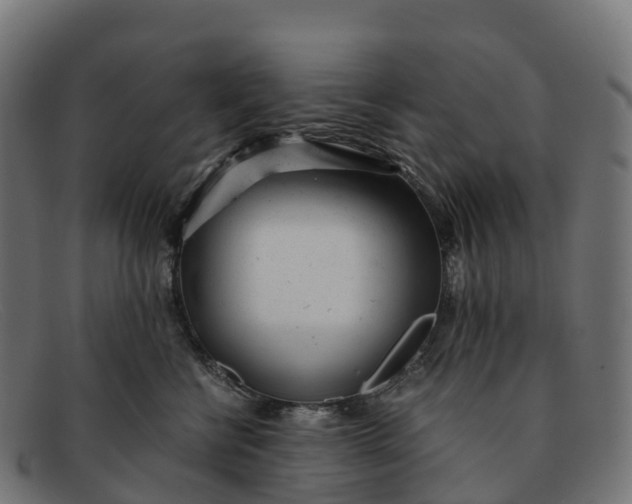 X0000091660570200709131512