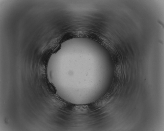 X0000091660571200709131512