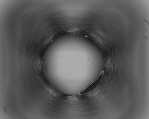 X0000091660572200709131512