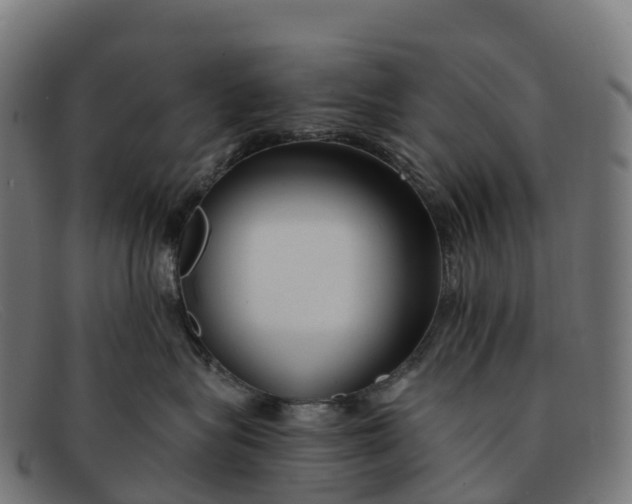 X0000091660575200709131512