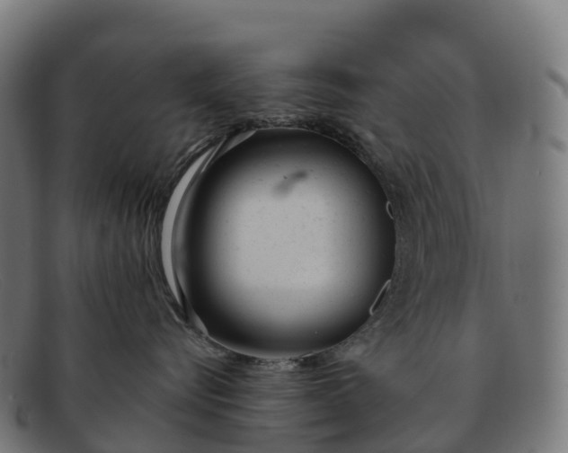 X0000091660576200709131512