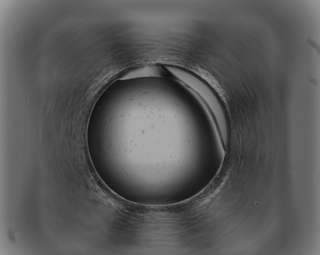 X0000091660577200709131511