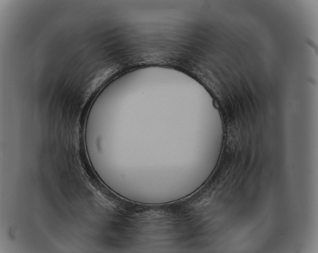 X0000091660578200709131511