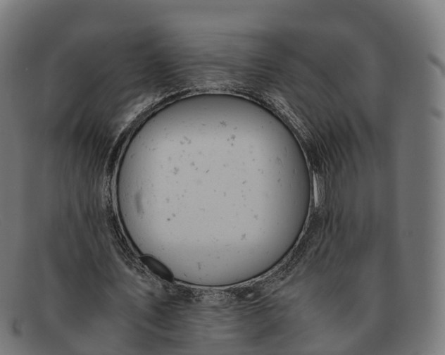 X0000091660579200709131511