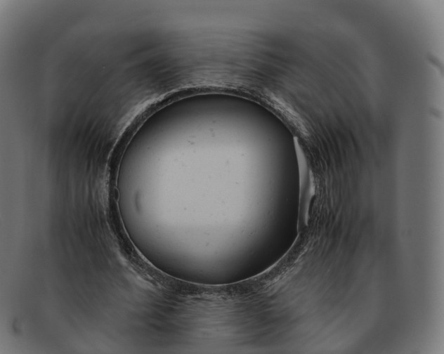 X0000091660580200709131511