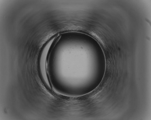 X0000091660581200709131511