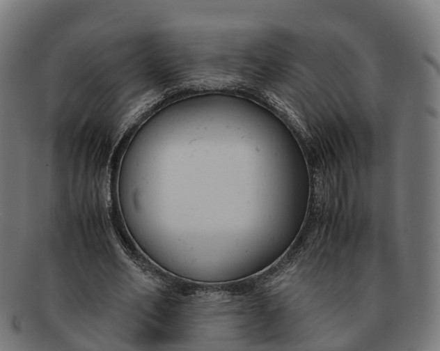 X0000091660582200709131511