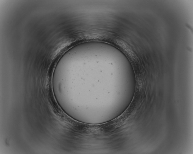 X0000091660583200709131511