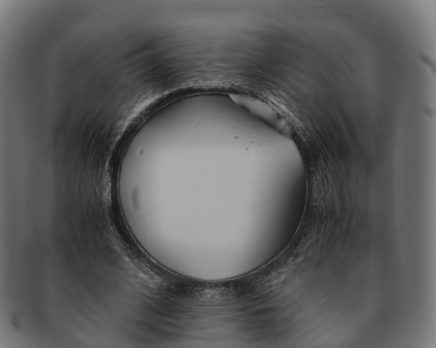 X0000091660584200709131511