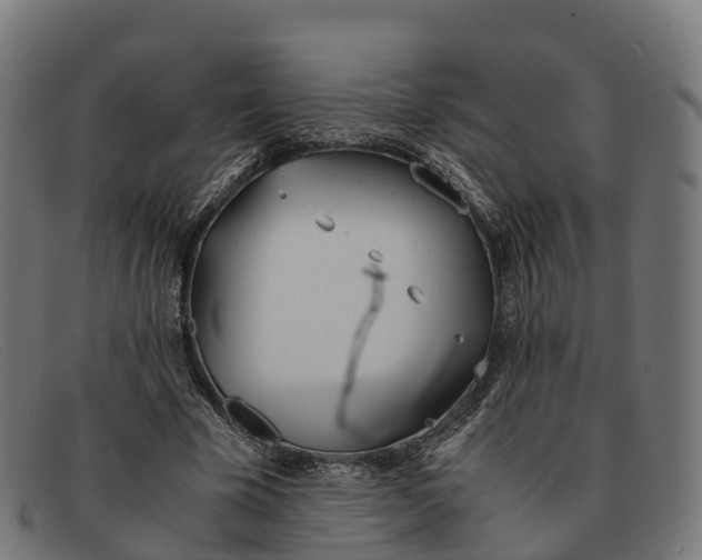 X0000091660585200709131511