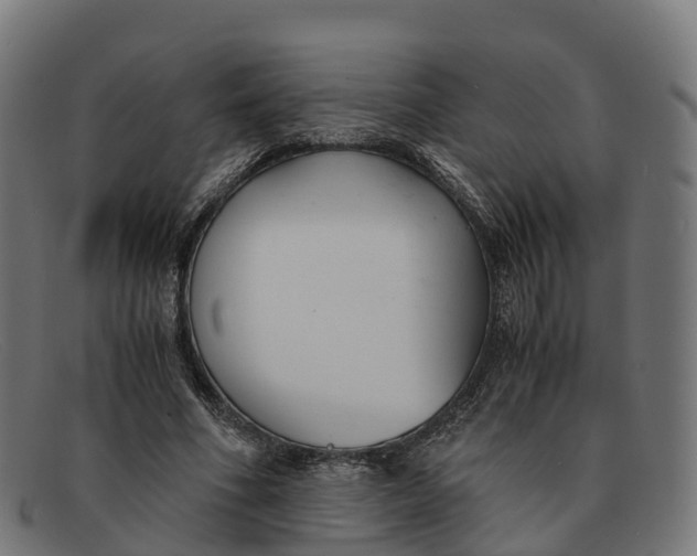 X0000091660586200709131511