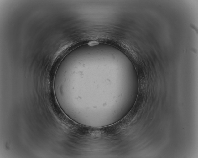 X0000091660587200709131511