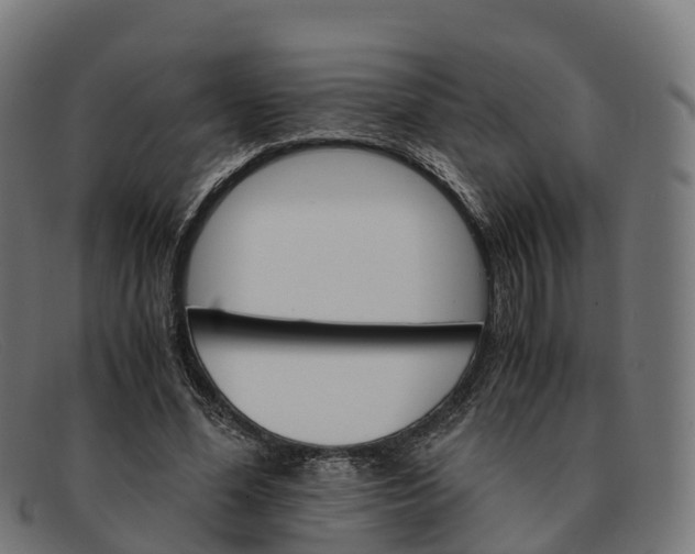 X0000091660588200709131511