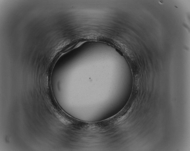 X0000091660589200709131511