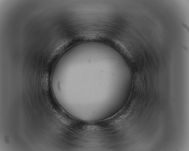 X0000091660590200709131511